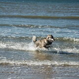 Foto van Judy