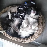 Foto van celeste & nugga