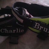 Foto van Angelique; Bruno, Charlie & Fenna