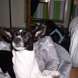 Foto van Lilly