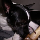 Foto van Lilly