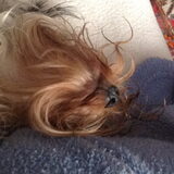 Foto van Anny en Lance