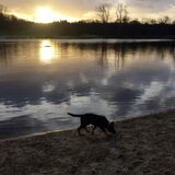Foto van amster