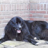 Foto van tessa