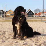 Foto van tessa