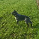 Foto van fabienne