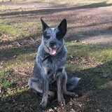 Foto van fabienne