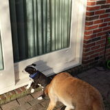 Foto van laura   Diva&Nova