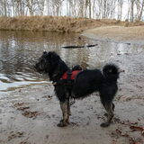 Foto van Ciska en Spanjaardje Moh (Bambi r.i.p.)