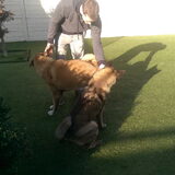 Foto van Jackie en Kiba:)
