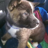 Foto van Jackie en Kiba:)