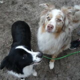Foto van Lucia, Lizzy & Ziva
