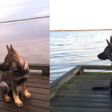 Foto van amster