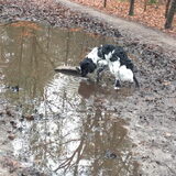 Foto van Doortje & Tibbe