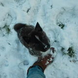 Foto van Jackie en Kiba:)