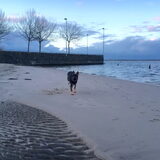 Foto van amster
