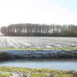Foto van Angelique; Bruno, Charlie & Fenna