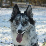 Foto van Angelique; Bruno, Charlie & Fenna