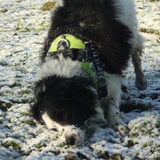 Foto van Angelique; Bruno, Charlie & Fenna