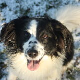 Foto van Angelique; Bruno, Charlie & Fenna