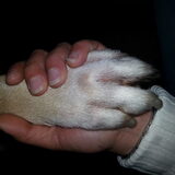 Gewoon mooi! Poot in hand