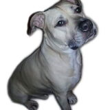 Tyson