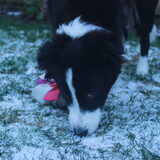 Wat is dat witte spul?