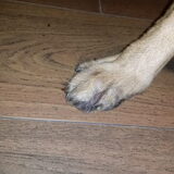 Foto van Beau