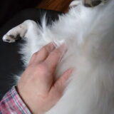 Foto van anja met Bobby(r.i.p. 25-9-25)