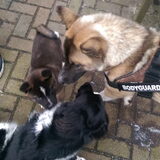 Foto van Jackie en Kiba:)