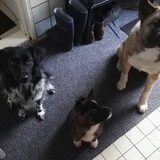 Foto van Jackie en Kiba:)