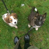 Foto van Jackie en Kiba:)