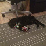 Foto van Eva met Bars