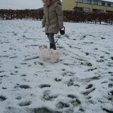 zoek het hondje ahahha