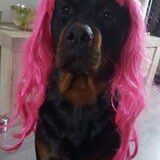 Foto van Nancy en Dino