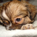Foto van Wendy