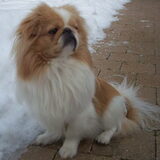 Foto van roxanne & balou