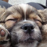 Foto van Wendy
