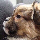 Foto van Wendy