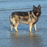 Foto van nicky