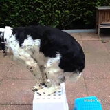 Oefenen met het balanceren!