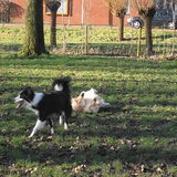 Foto van Lucia, Lizzy & Ziva