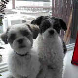 jerry en rocky samen op de foto