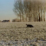 Foto van fabienne