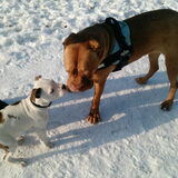 Foto van Renée & Gino!