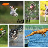 Foto van Angelique; Bruno, Charlie & Fenna