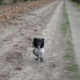Foto van Doortje & Tibbe