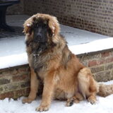 Onze liefste Sam, babybeer, knuffelbeer