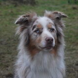 Foto van Doortje & Tibbe