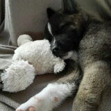 Foto van Jackie en Kiba:)